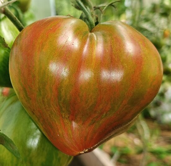 Гранатовое Колье Людмилы